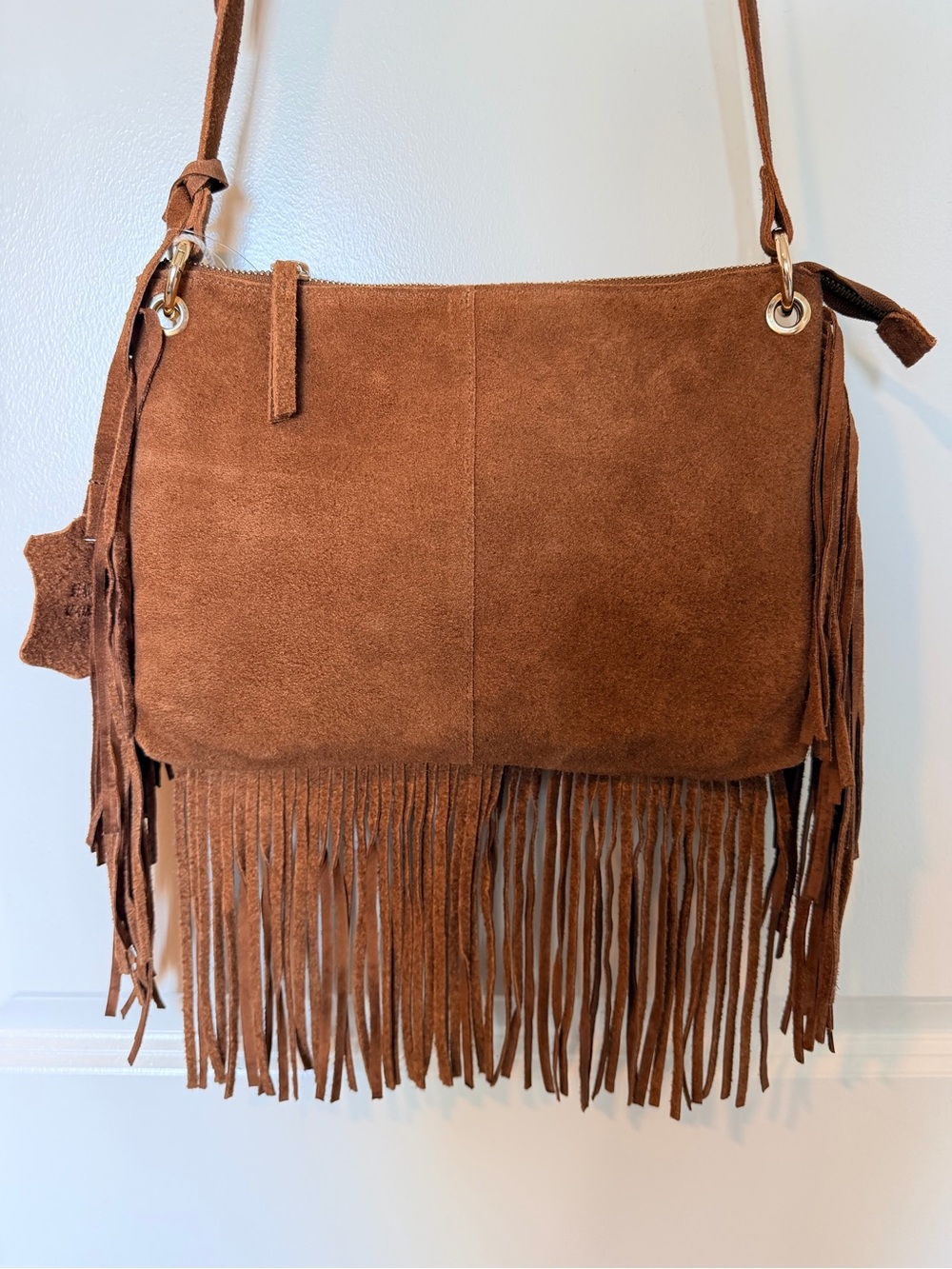 Haute Hippie Suede Fringe Crossbody Bag Brown New With Tags NWT - Picture 5 of 11